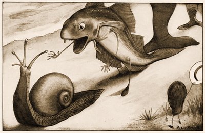 قال فيلم Whiting to a Snail: "هل ستمشي أسرع قليلاً؟" ، مثال توضيحي لمغامرات لويس كارول في أليس في بلاد العجائب ، 1901 بواسطة بيتر نيويل